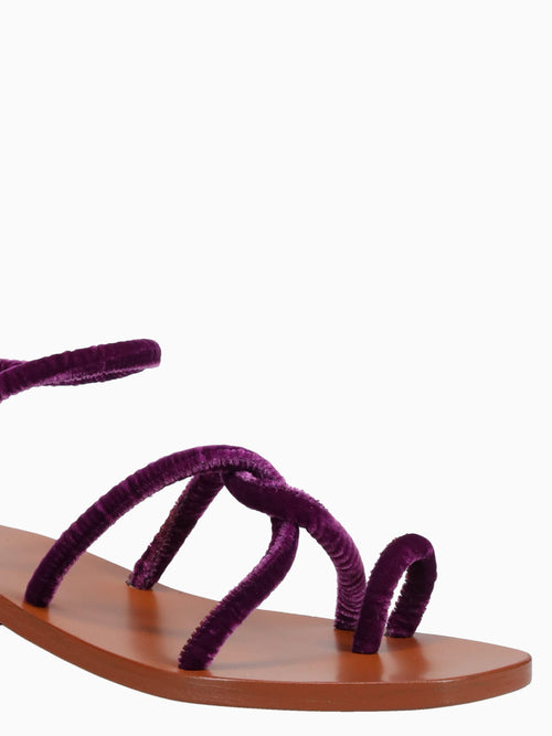 Monte Tacco Viola Velvet Purple / 36 / M