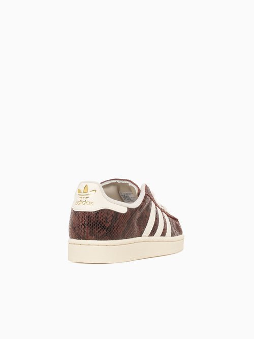 Superstar Brown Snake White leather Brown / 5 / M