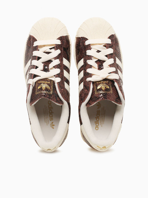 Superstar Brown Snake White leather Brown / 5 / M