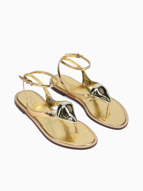 Amele Gold Metal Bala Gold / 5 / M