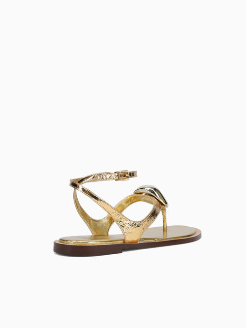 Amele Gold Metal Bala Gold / 5 / M