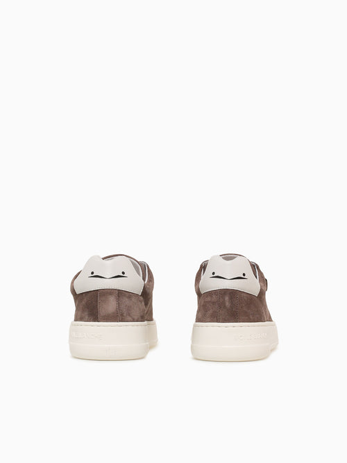 Layton Brown Suede Brown / 41 / M