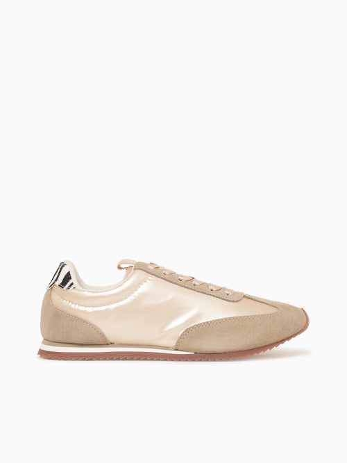 Palisade Oro Lea Gold / 36 / M