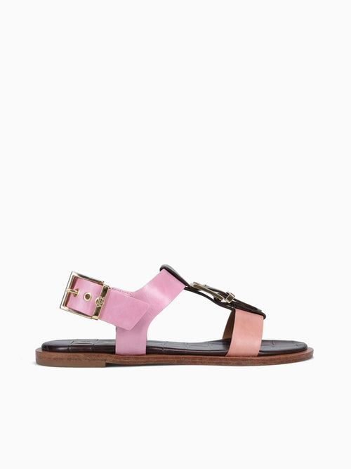 Amelia Rosee Torino Pink / 5 / M