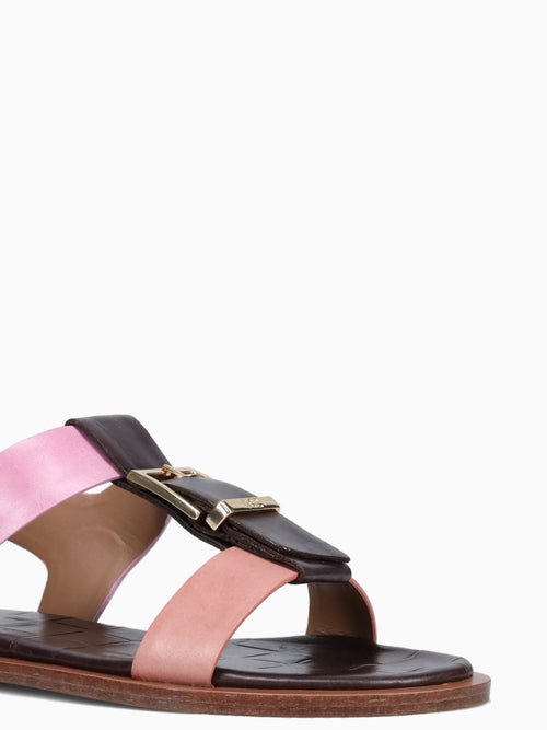 Amelia Rosee Torino Pink / 5 / M
