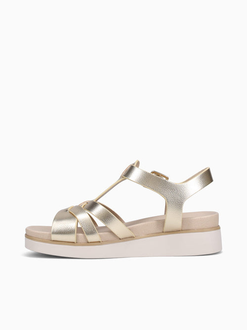 Grandiose Gold Gold / 5 / M