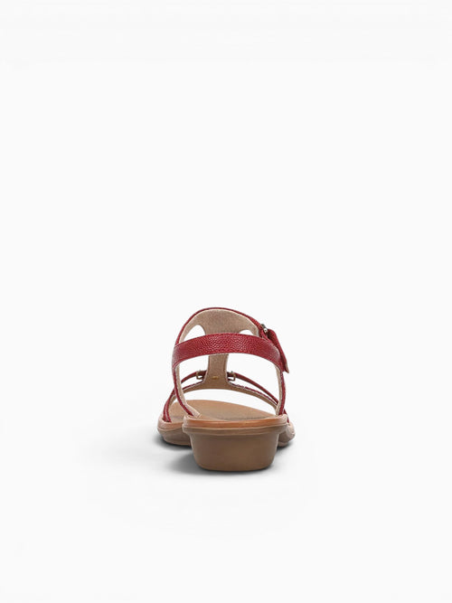 Sofia Red Pebble Red / 5 / M