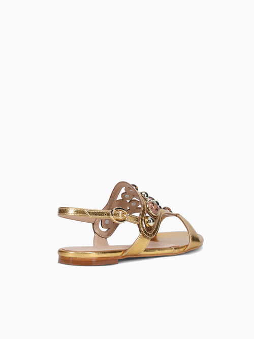 Aalis Gold Met Bala Gold / 5 / M