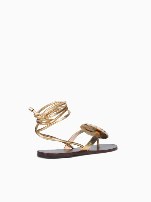 Solene Ouro Metal Gold / 5 / M