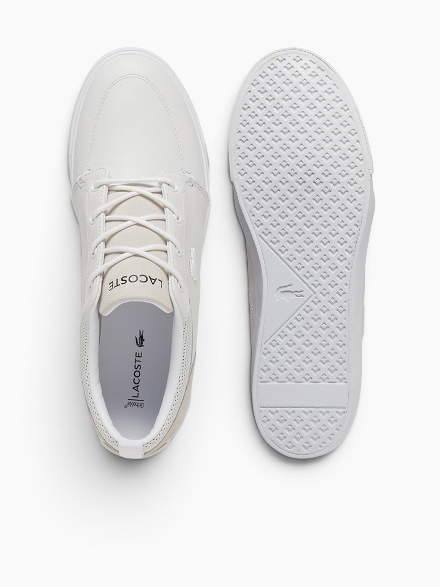 Bayliss Wht Wht leather White / 8 / M