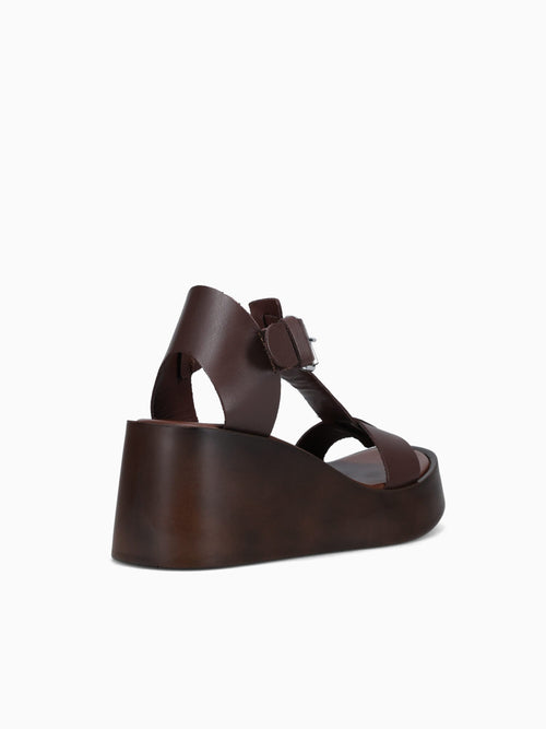 645 Testa Di Moro Brown / 36 / M