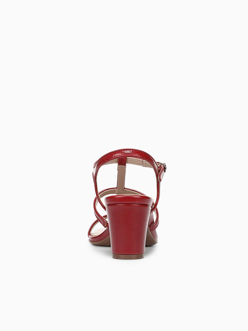 Bristolcage Red Snake Red / 5 / M