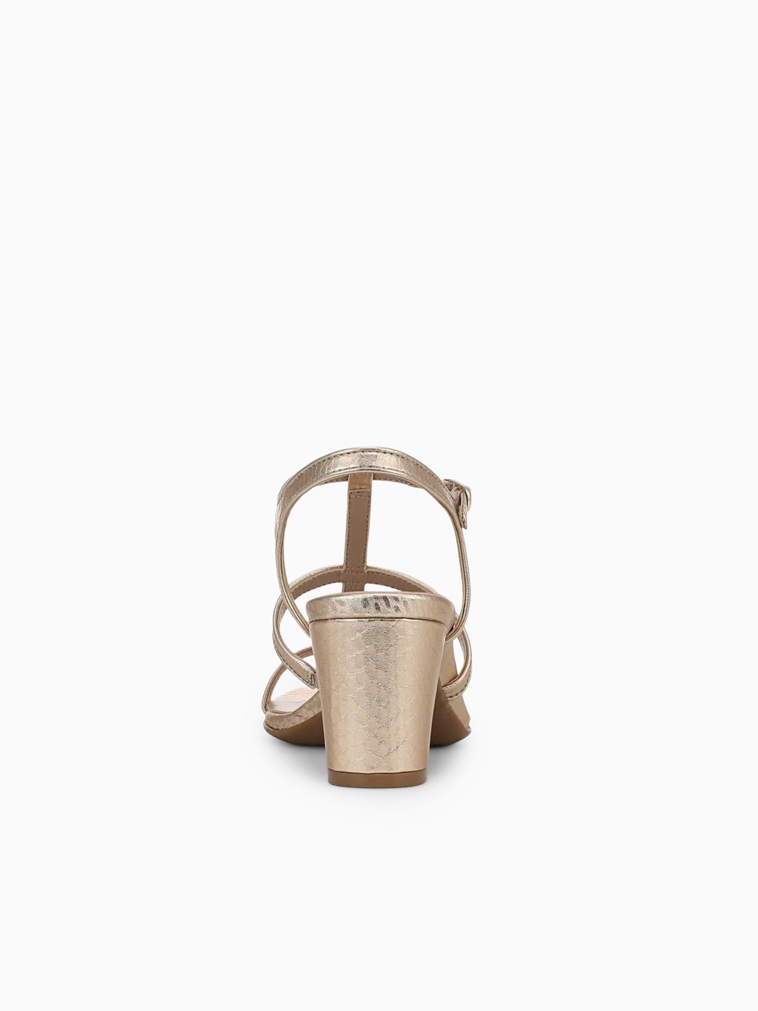 Bristolcage Champagne Snake Champagne / 5 / M