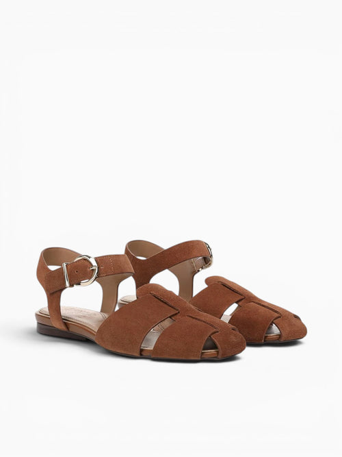 Cleo Walnut Wake Suede Brown / 5 / M
