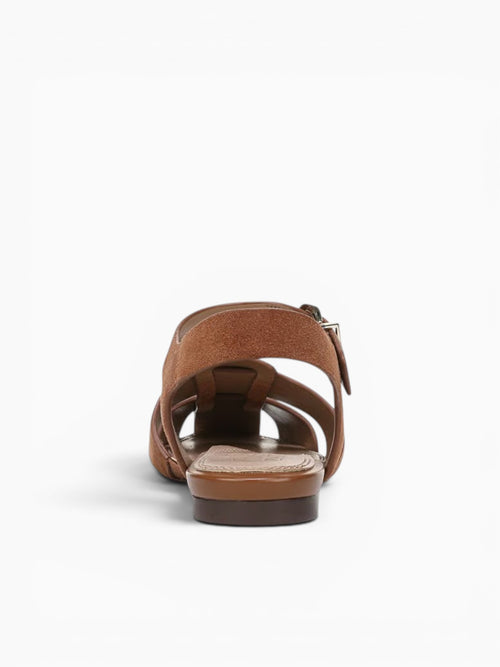 Cleo Walnut Wake Suede Brown / 5 / M