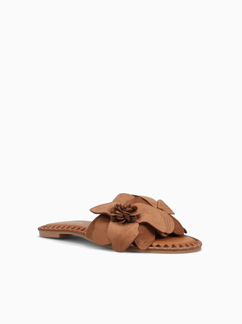 Dafne Tan Suede Tan / 5 / M