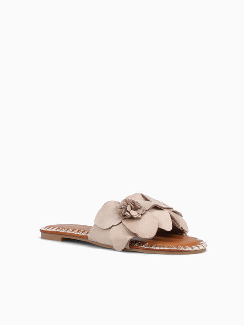 Dafne Beige Suede Beige / 5 / M