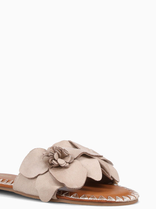 Dafne Beige Suede Beige / 5 / M