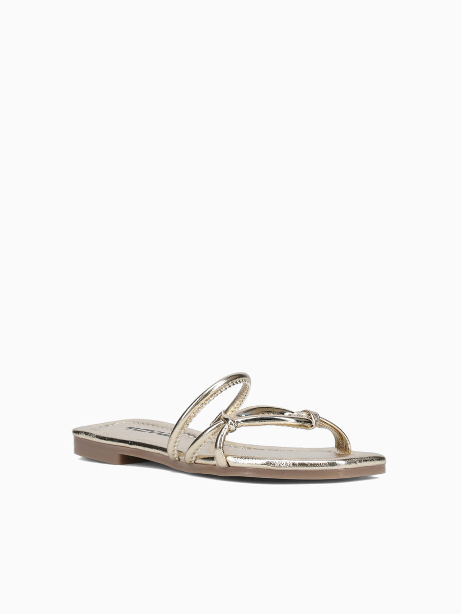 Paloma Oro Morgan Gold / 5 / M