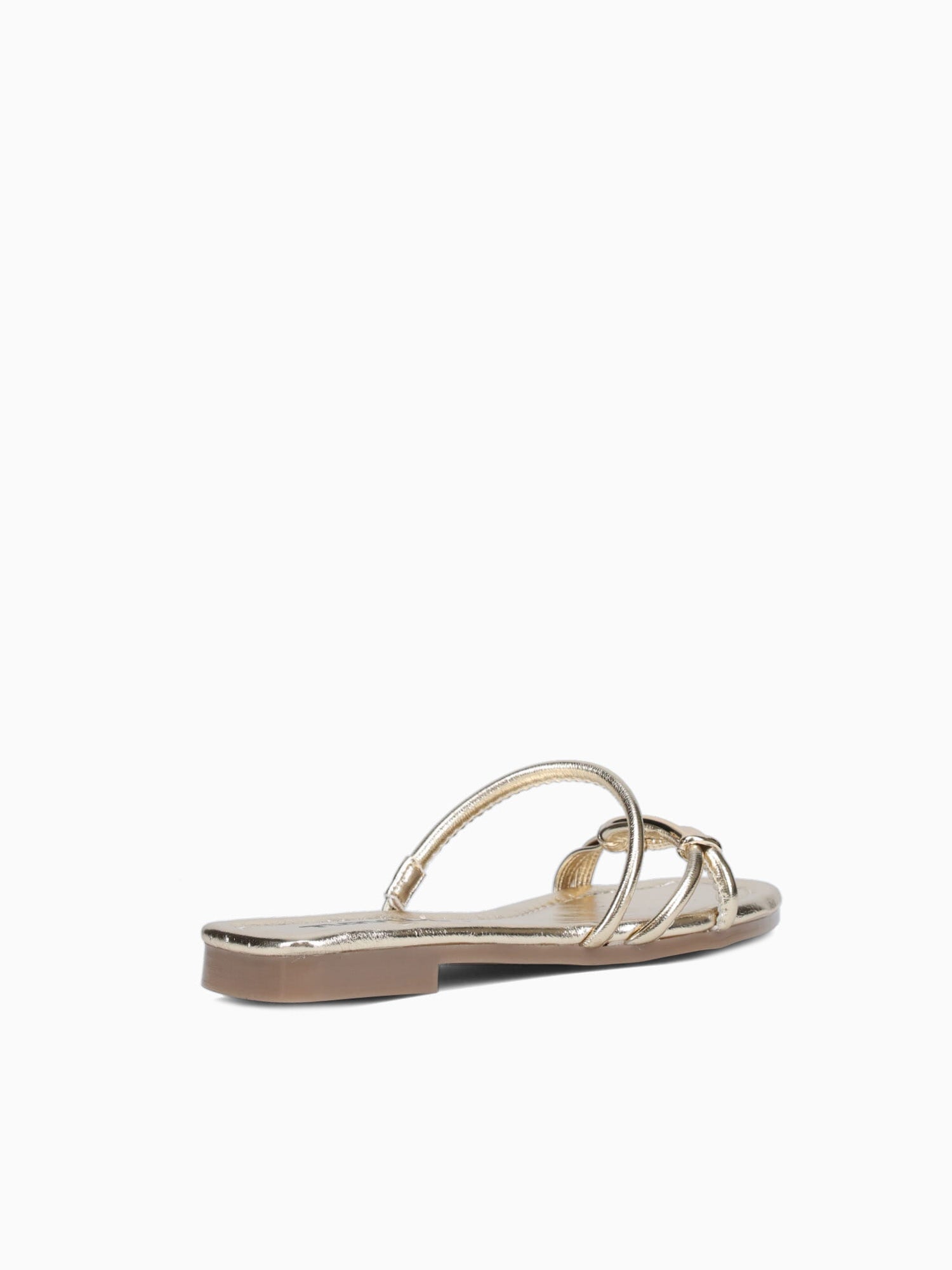 Paloma Oro Morgan Gold / 5 / M