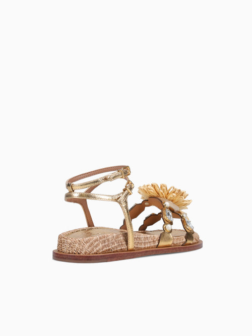 Amara Gold Cristal Gold / 5 / M