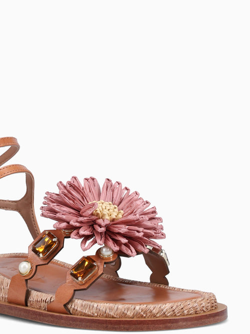 Amara Chesnut Torino Gold / 5 / M
