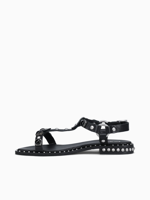 Pebble Black Soft Leather Black / 36 / M