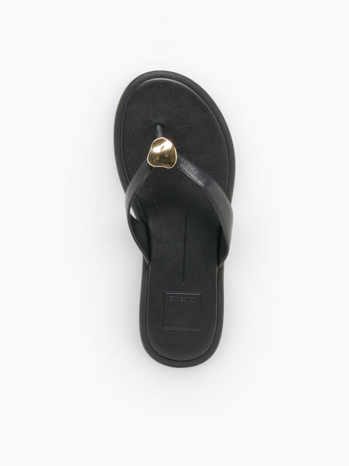 Jaina Dk Brown Suede Dark Brown / 6 / M