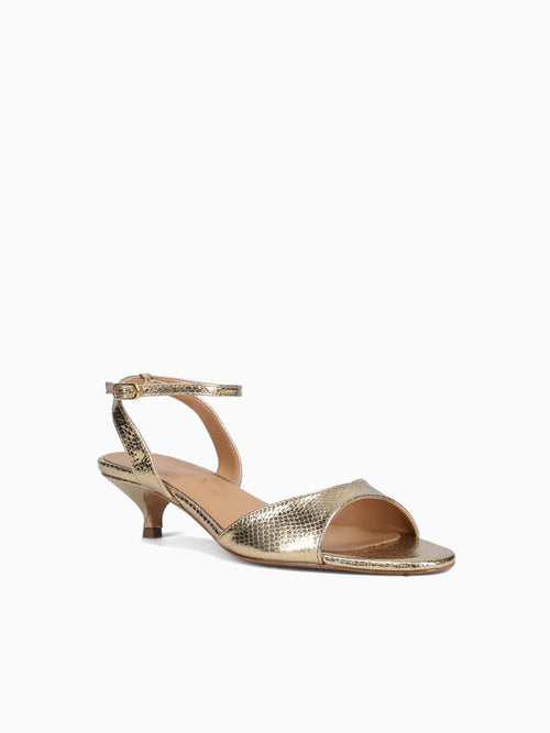 1741 Oro Pitone Gold / 36 / M