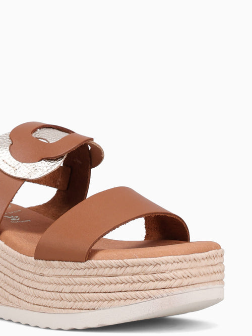 5870 Roble Cb Brown / 36 / M