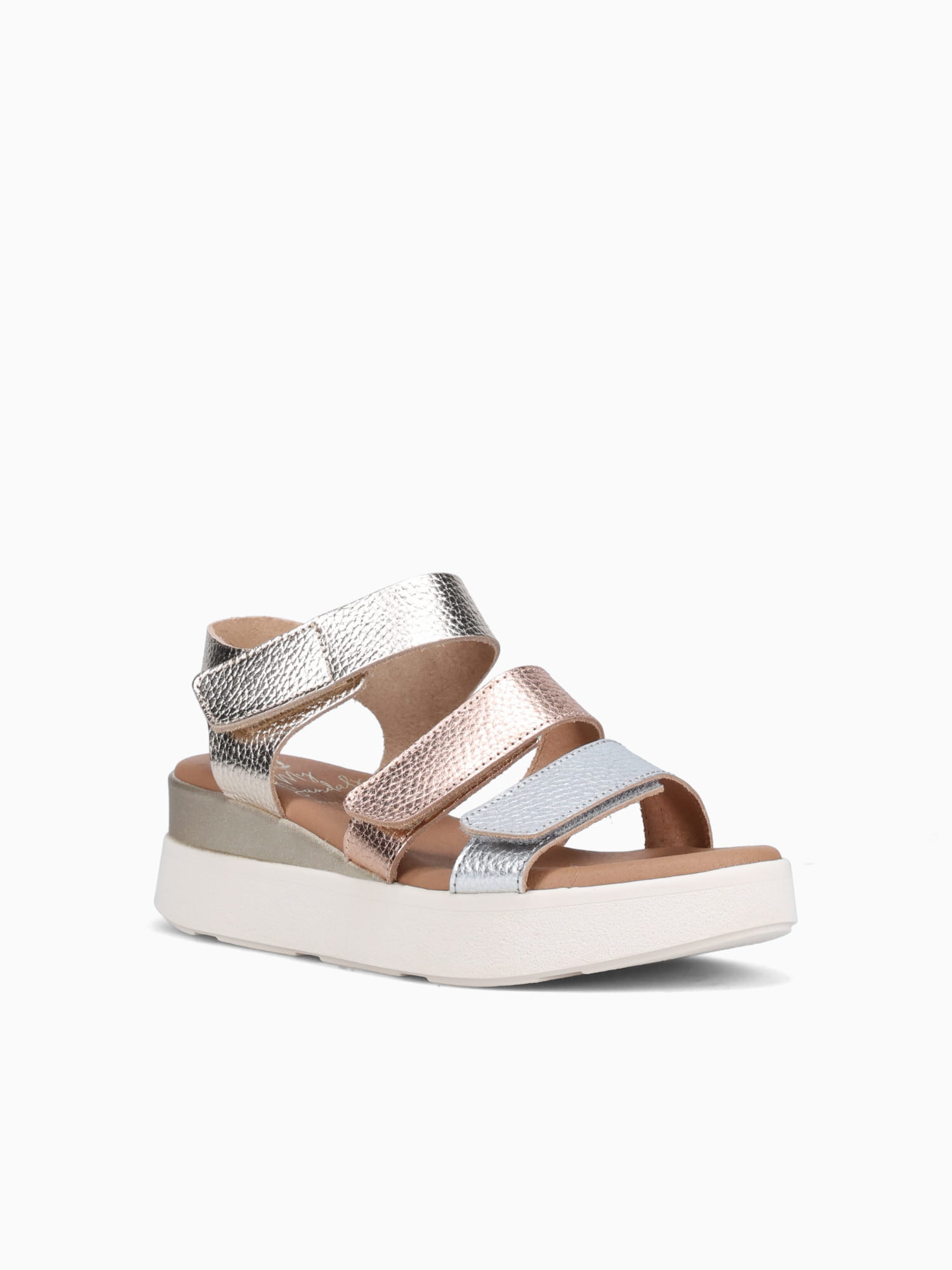 5964 Champan Cb Doya Other / 36 / M