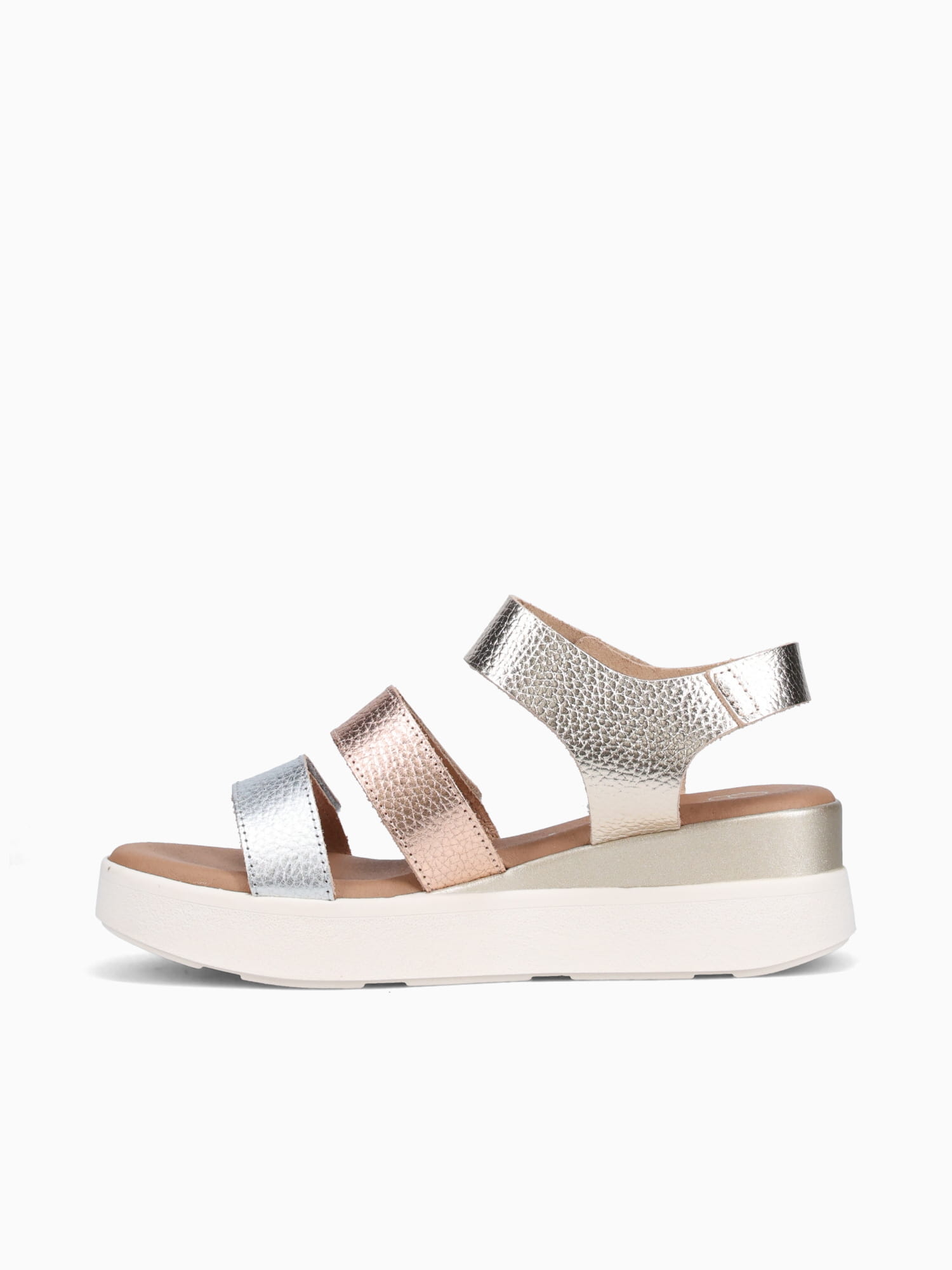 5964 Champan Cb Doya Other / 36 / M