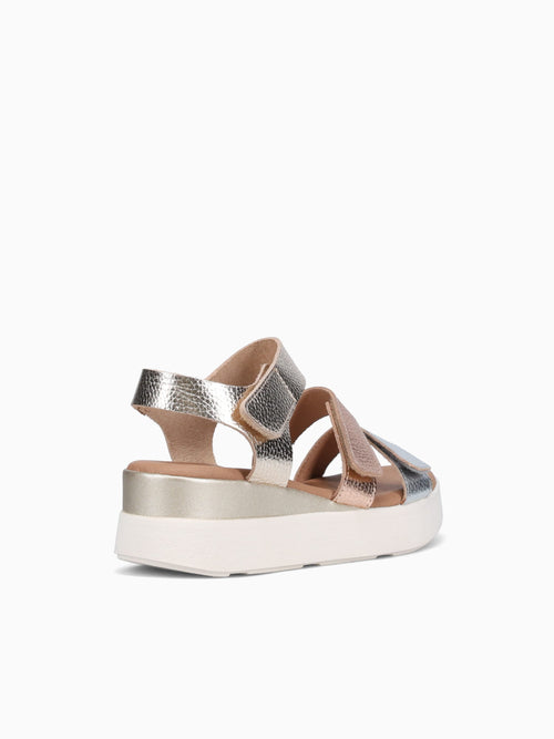 5964 Champan Cb Doya Other / 36 / M