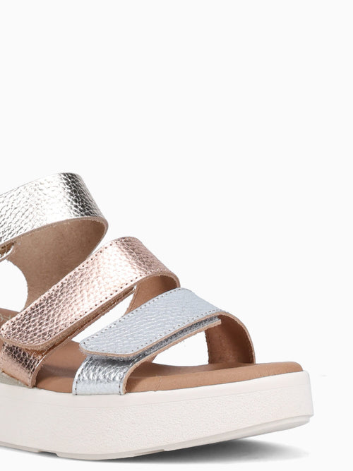 5964 Champan Cb Doya Other / 36 / M