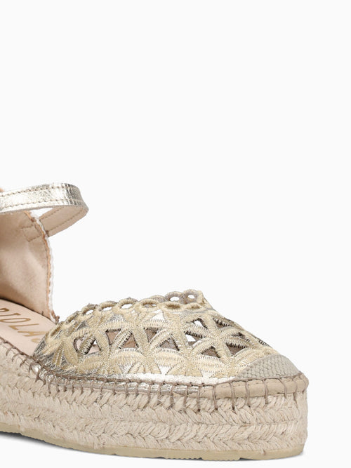 816534 Champagne Laminado Champagne / 36 / M