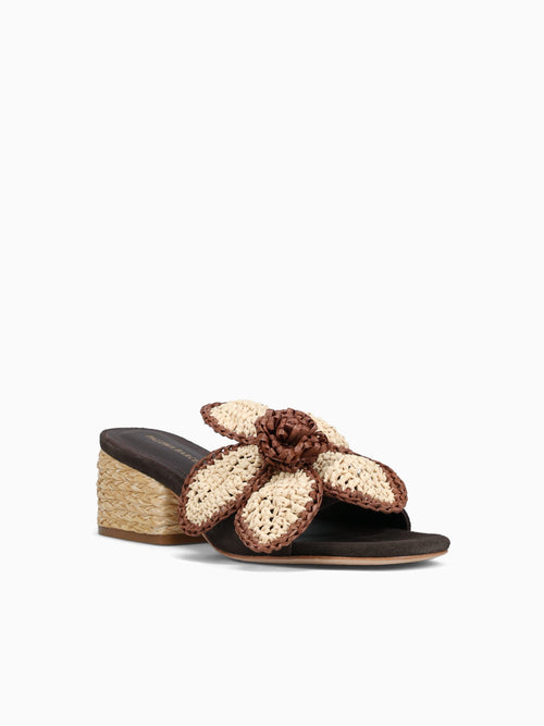 Dally Chocolate Suede Dark Brown / 36 / M