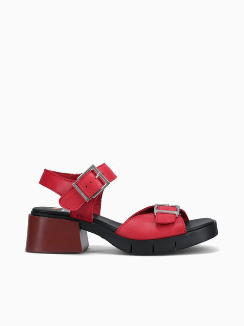 2061 Red Lea Red / 36 / M