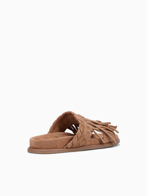 Haydee Camel Tan / 5 / M