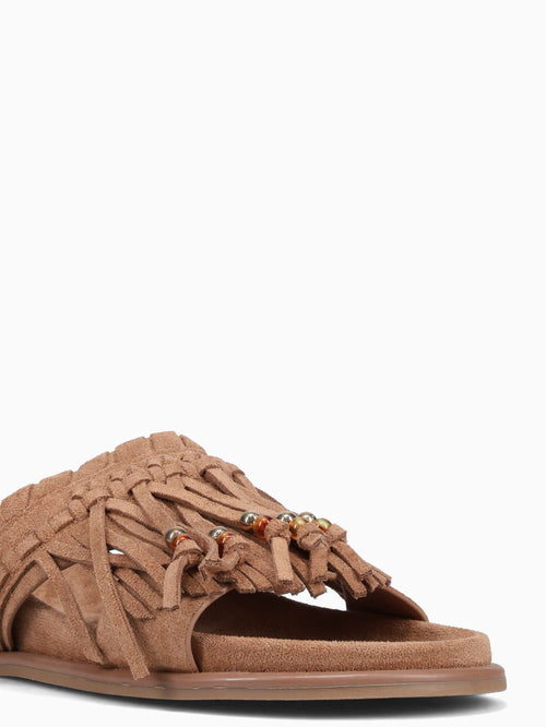 Haydee Camel Tan / 5 / M