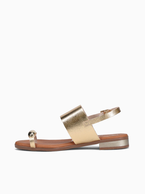 5862 Oro Duna Gold / 36 / M