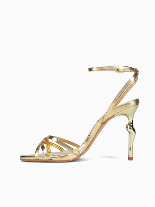 Camden Ouro Napa Gold / 5 / M