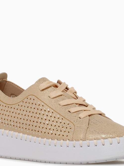 Amanda Gold Metal Micro Gold / 5 / M