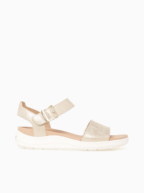 Times Off Sky Gold Metallic Gold / 5 / M