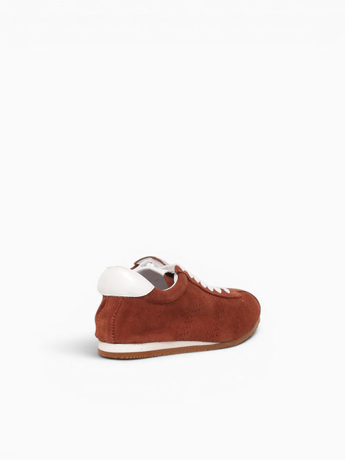 Ale Brown Suede Brown / 5 / M