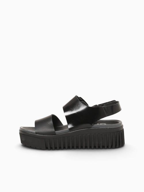 1578 Multi Black Lea Black / 36 / M