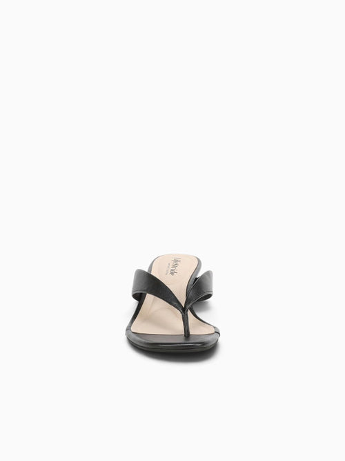 Stella Black Black / 5 / M