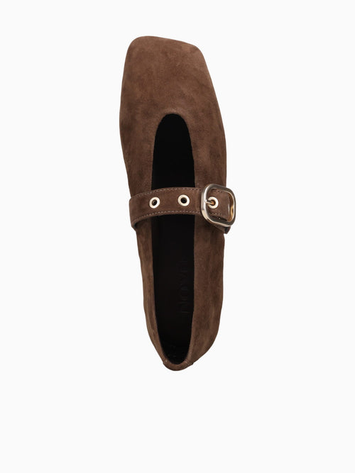 Pilar Dk. Brown Suede Dark Brown / 5 / M