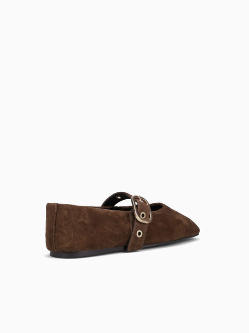 Pilar Dk. Brown Suede Dark Brown / 5 / M