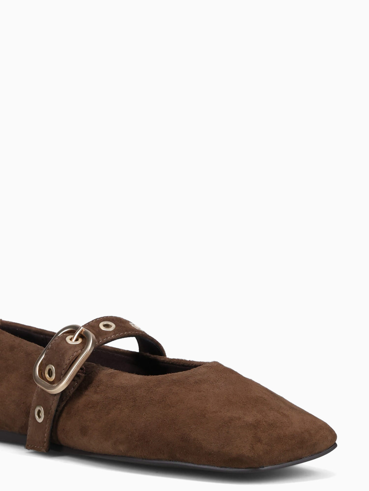 Pilar Dk. Brown Suede Dark Brown / 5 / M