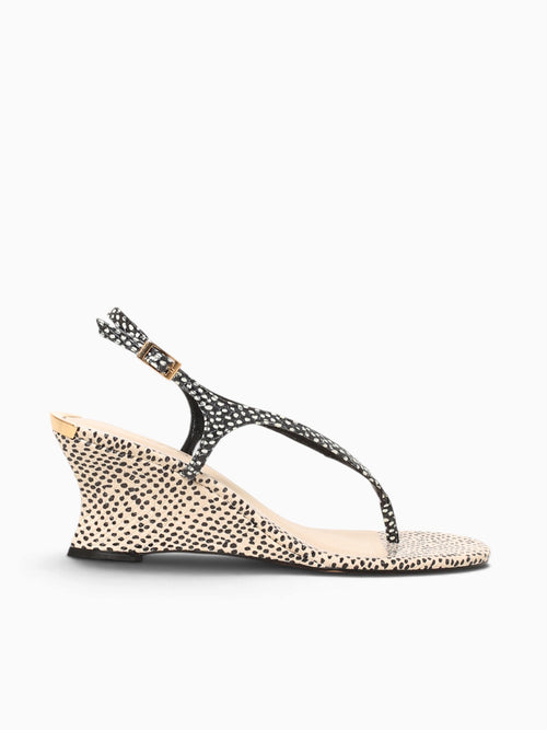 Dalma Black Panacota eco snake dots Black / 5 / M